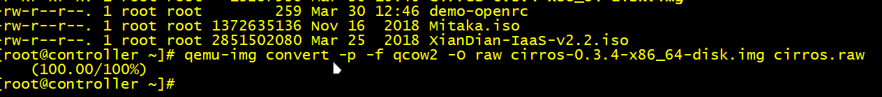 图10.10 镜像转换格式.png